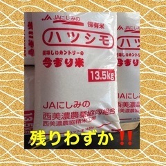 岐阜ハツシモ  大粒で美味しい1袋13.5kg  完売しました!!