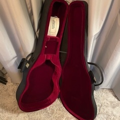 アストリアス　アコースティックギター　ソロスタンダードS