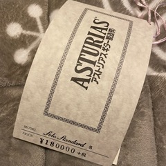 アストリアス　アコースティックギター　ソロスタンダードS