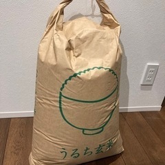 【決定】2021年収穫　兵庫県産玄米　30キロ
