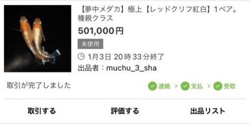 DJめだか】レッドクリフ紅白タイプ 極上 有精卵 5個 夢中めだか様より 