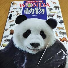 図鑑WANDA ５冊＋ポケットWANDA5冊