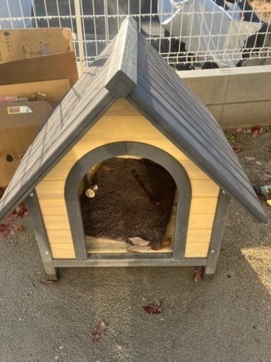 犬小屋
