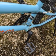 他のサイトでお話中　ヨツバサイクル　20インチ　自転車　男女どちらでも