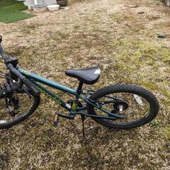 お話中 cannnondale 20インチ 男の子用 自転車 変速つき