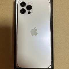 【ネット決済・配送可】iPhone 12 pro シルバー 12...