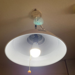 照明 ランプ　電球付き