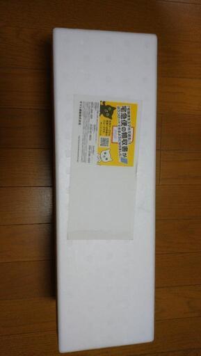 森伊蔵