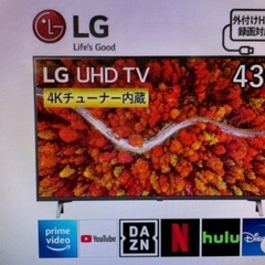 【新品】LG  4K液晶テレビ