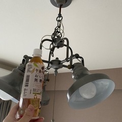 スポットライト