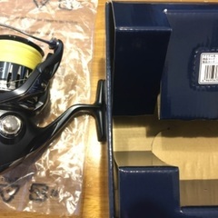 シマノ ストラディックSW4000xg　未使用　PE1.5号付