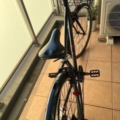 ジュニア自転車　シュラインSCHLEIN26インチ