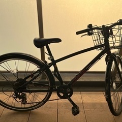 ジュニア自転車　シュラインSCHLEIN26インチ