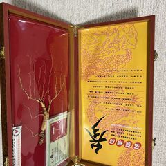 中国東北地方　山参　2014年　箱入り鑑定書付 中国東北地方 山参 2014年 箱入り鑑定書付