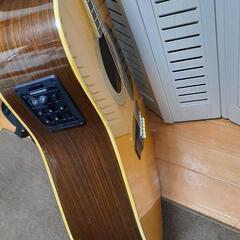 ☆売り切れ☆YAMAKI YW-25 (エレアコ)