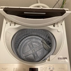 洗濯機・衣装ケース