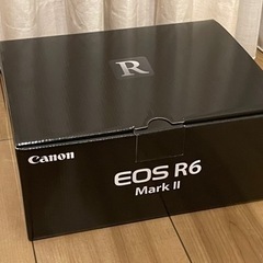 【ネット決済・配送可】超美品 canon eos r6 mark2