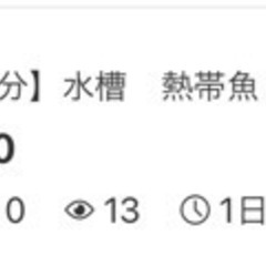 【在庫処分】熱帯魚　水槽　レイアウト　岩　流木など