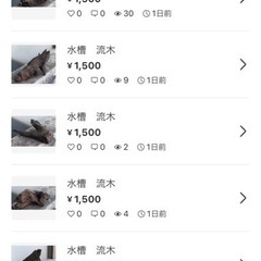 【在庫処分】熱帯魚　水槽　レイアウト　岩　流木など