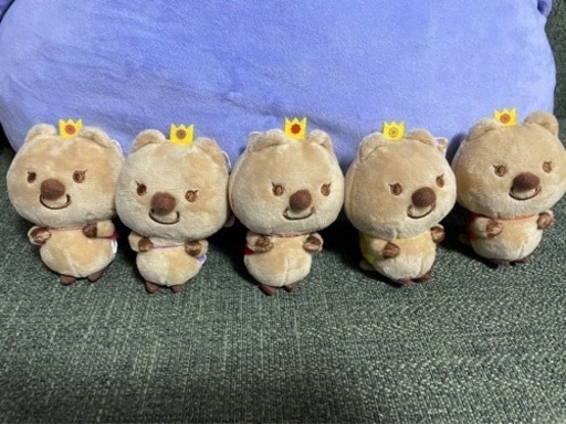 ブルーム　ぬいぐるみ　色違い　五体セット