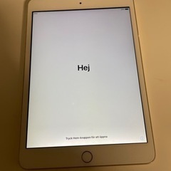 iPad mini 3 (お返事これからします)