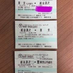 明日の新幹線往復と石打丸山のリフト券差し上げます。