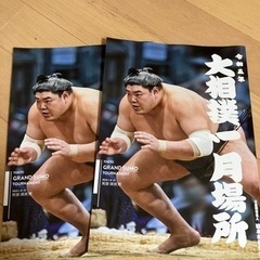 大相撲　2023初場所パンフレット　2冊