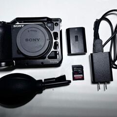 9SONY ILCE-6600