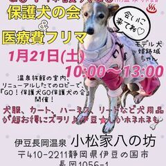 GO！保護犬GO☆保護犬の会（譲渡会・里親会）＠犬連れ旅館・八の坊