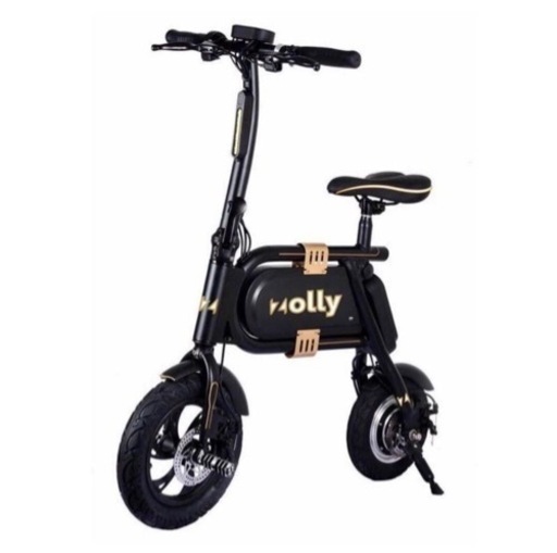 ZOLLY E-BIKE 極上未使用 電動バイク 折り畳み電動自転車 美品