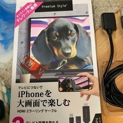 iPhone を大画面で楽しむ　