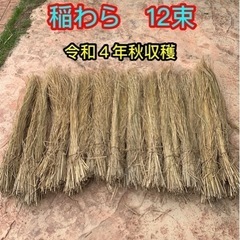 稲藁　（12束　約3.5kg）