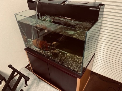 水槽セット