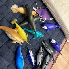 クジラビック玩具