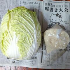 お米2kgと白菜