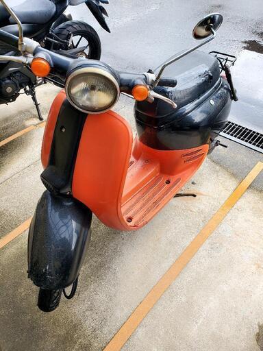 ホンダ ジョルノ お話し中