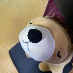 クマの抱き枕（約76センチ）　京泊まで取りに来れる方