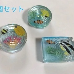 【新品】箸置き　水族館　お魚
