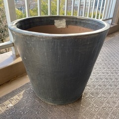 IKEAイケアの鉢② 直径43×高さ38