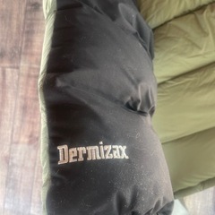 【大幅値下げ】Marmot dermizax 750-dD メンズ　ダウン