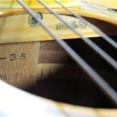 トップ：エゾ松 単板 Morales LYRE BIRD  M-35 ハードケース＆クリップチューナー付き トップ：エゾ松 単板 Morales LYRE BIRD M-35 ハードケース＆クリップ