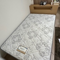 令和6年採蜜日本ミツバチ 10ヶ月熟成 百花蜜2400g - その他