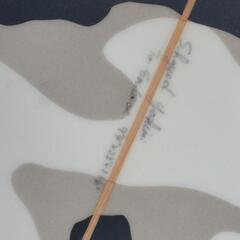 ロングボード　軽くて初心者向け