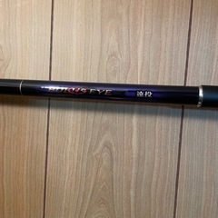 20ブルズアイ遠投5-520P