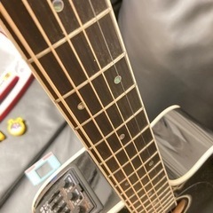 タカミネ　エレアコ　DMP751C BL