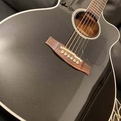 タカミネ　エレアコ　DMP751C BL