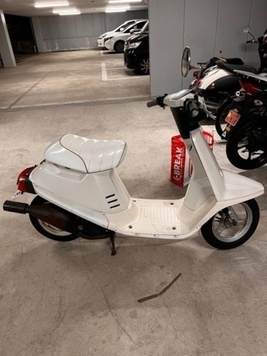 27V  ペリカンジョグ