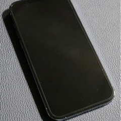 SIMフリー iPhone 13 Pro Max 512GB シエラブルー