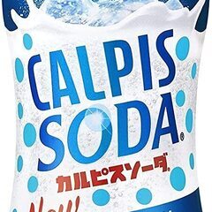 【定価2326円⇒1700円】カルピス カルピスソーダ 500m...