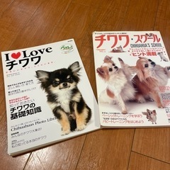 チワワに関する本